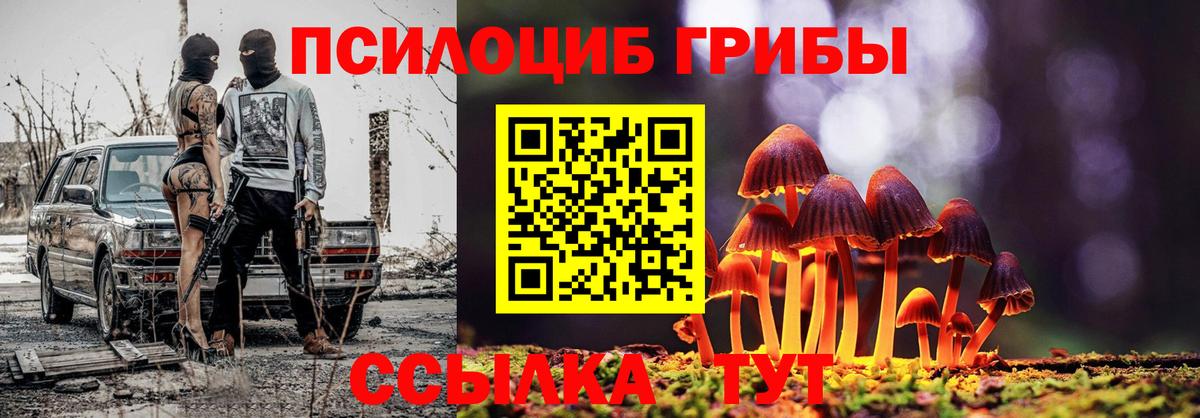 Медногорск  Галлюциногенные грибы прущие грибы  Галлюциногенные грибы мухоморы  Вход с VPN 