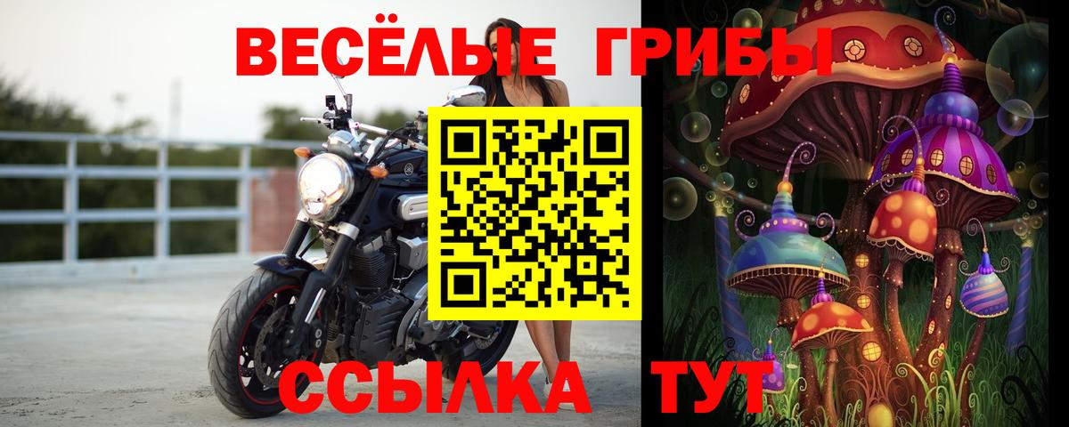 Галлюциногенные грибы ЛСД Медногорск